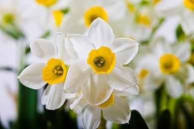 惊险刺激的科幻游戏《永世必死》将于今年推出